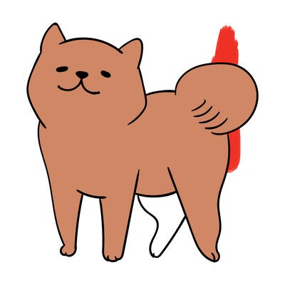 animals_29