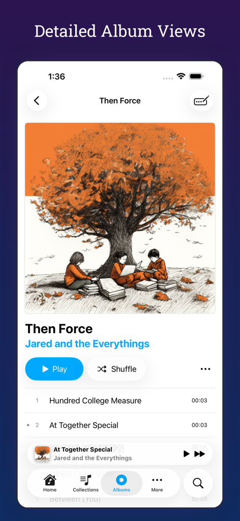 MiniMoon Music - Vista detallada del álbum en la aplicación MiniMoon Music mostrando la carátula del álbum y la lista de canciones