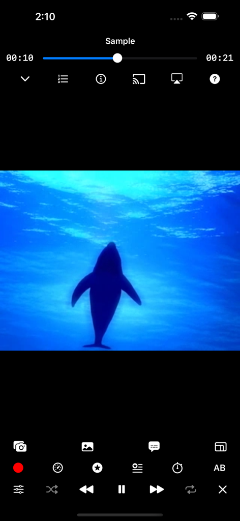 WMDPlayer - WMDPlayer-Video-Wiedergabebildschirm mit einer Delfin-Silhouette und erweiterten Mediensteuerungen