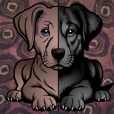 realistic dog split picture