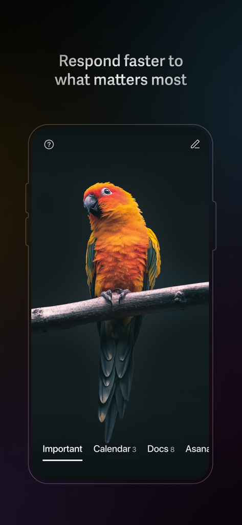 Superhuman Mail app interface displaying split inbox categories and a high quality parrot background