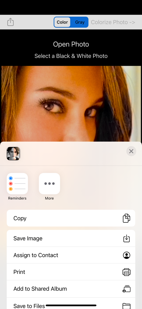 Menú de compartir de iOS para un retrato coloreado en la aplicación Photo Colorizer.