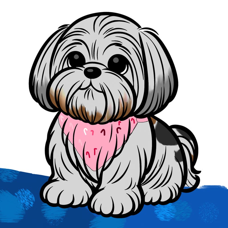 shih tzu