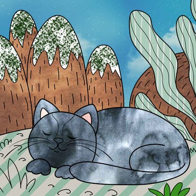 animals_47