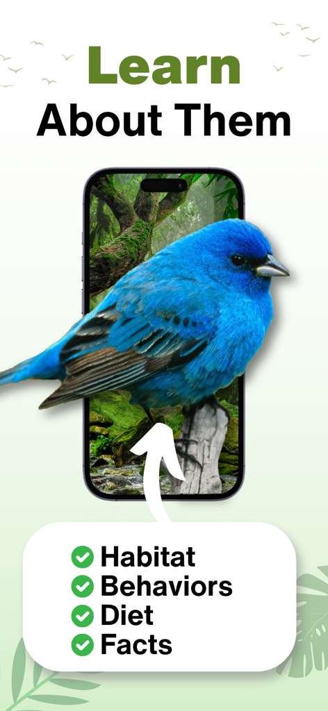 Bird Identifier AI Scanner - A blue bird displayed on a smartphone screen showing educational categories like habitat, behaviors, diet, and facts in the Bird Identifier AI app.