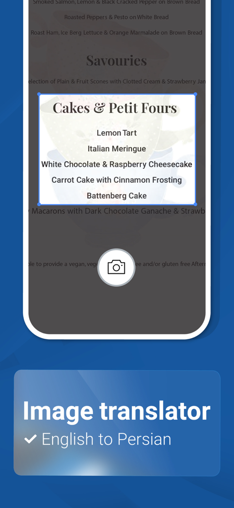 Fastdic app image translator feature scanning an English menu for translation into Persian