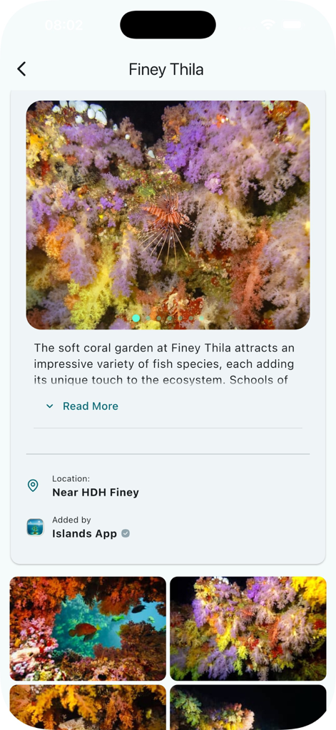 Islands App - Underwater photography of a lionfish and soft corals at Finey Thila in the Maldives on the Islands App