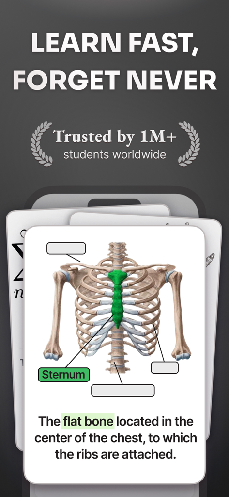 Noji: Study with Flashcards - Cartão de estudo de anatomia exibindo o esterno humano e a descrição no aplicativo de estudo Noji