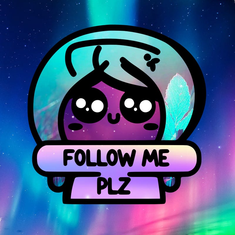 follow me plz