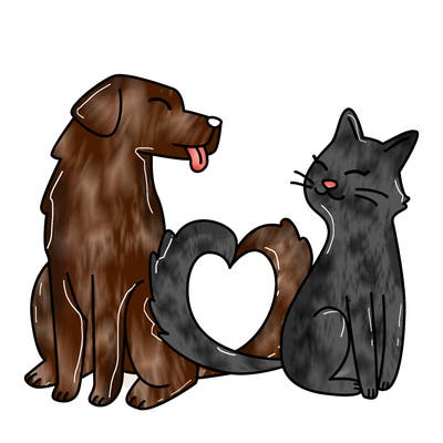 animals_22