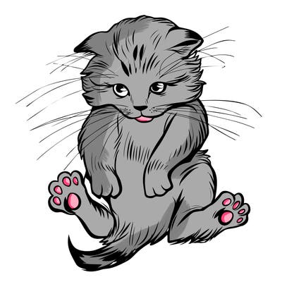 animals_20