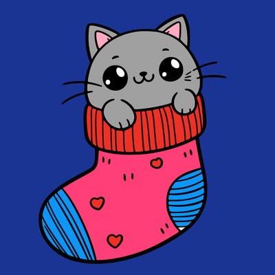 cute cat in a sock