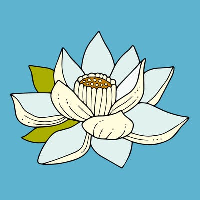 flowers_08