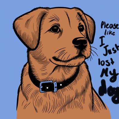 dog realistic
