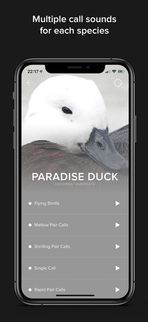 Game Calls NZ - Mobile app interface displaying multiple Paradise Duck hunting call options