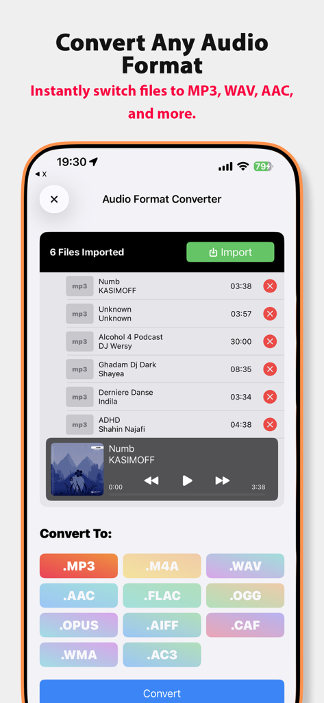 Screen of Music IR app showing the audio format converter tool with various output formats including MP3 WAV and FLAC