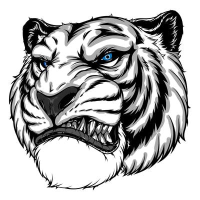 animals_24