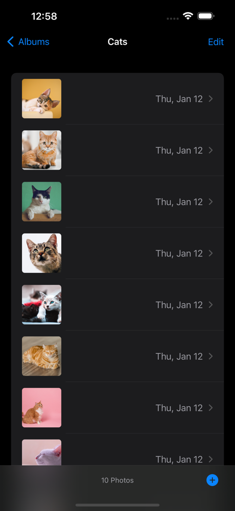 iPhone screen showing a cat photo album list in dark mode within the Widget Photos app