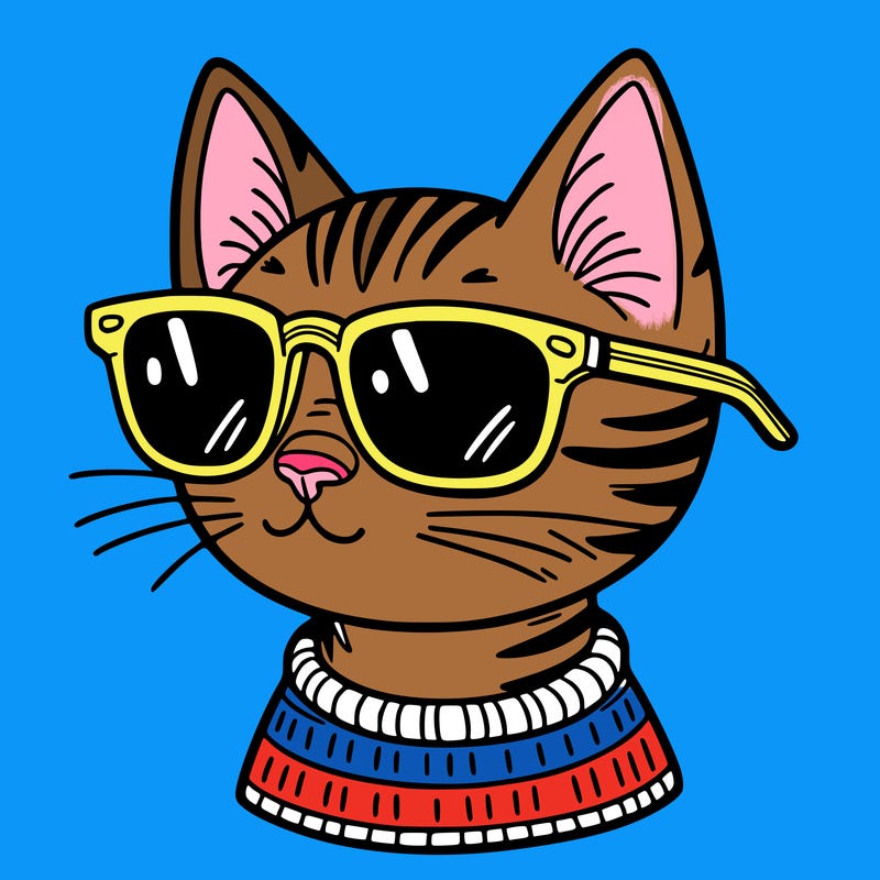 cat with sunglasses