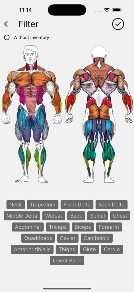 Workouts - TrainingDay - Anatomical muscle map filter interface for selecting specific body parts to train