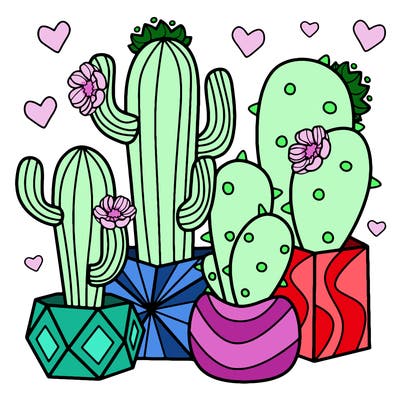 flowers_24_new