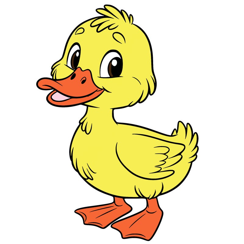duck