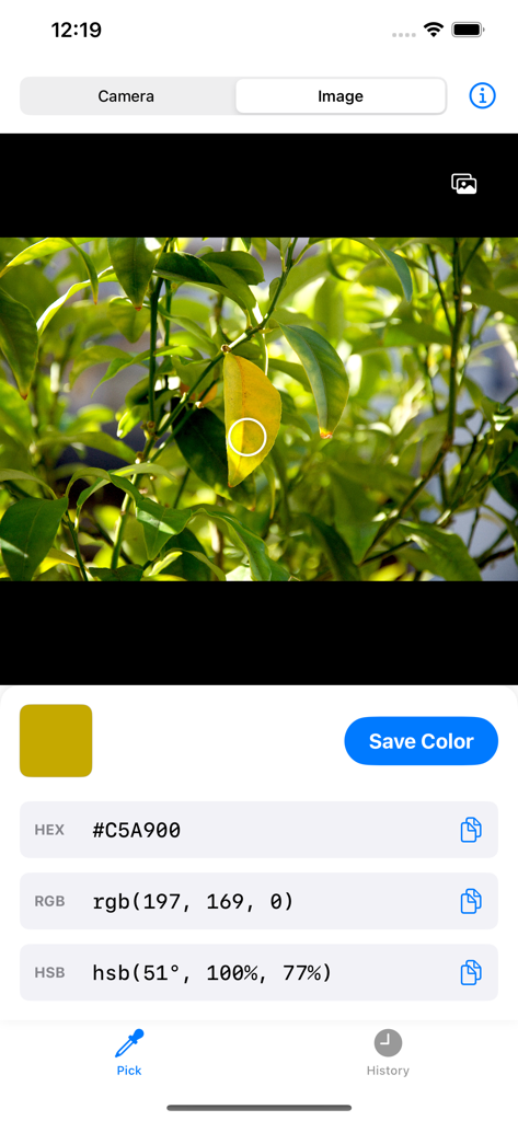 Dev Color Picker 앱이 사진 속 노란 나뭇잎에서 HEX RGB 및 HSB 값을 추출하는 스크린샷