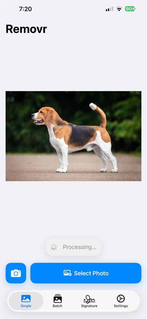 Remove Background - Removr - Schermata dell'app mobile Removr che mostra una foto di un cane in elaborazione per la rimozione dello sfondo