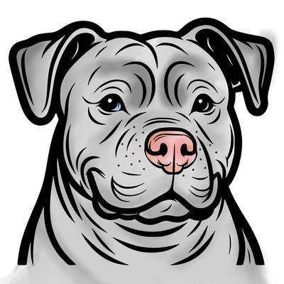 pitbull