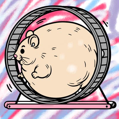 fat hamster running on hamster wheel