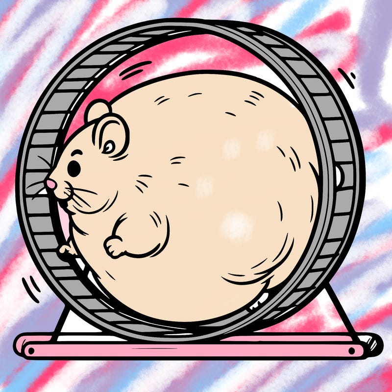 fat hamster running on hamster wheel