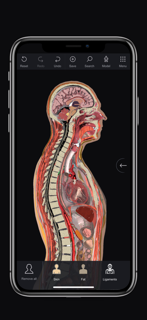 Xplore3DAnatomy - Medical App | MWM