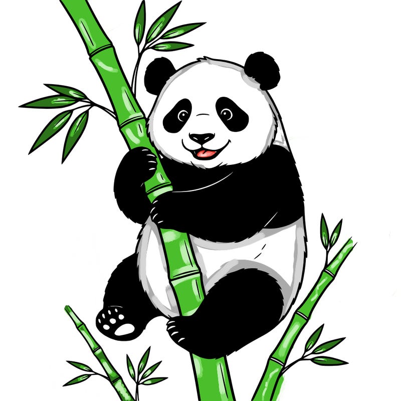 🐼