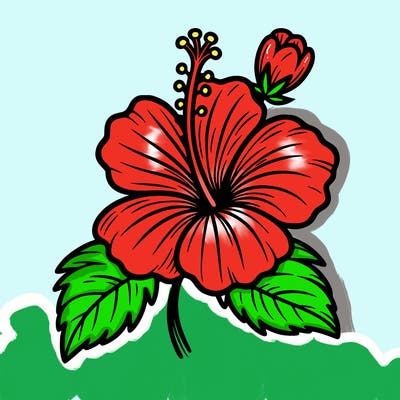 hibiscus flower