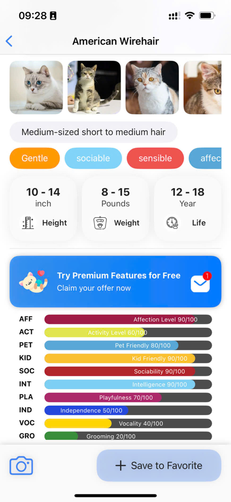 Cat Identifier: AI Scanner - Screen display of the Cat Identifier app showing detailed characteristics and traits for the American Wirehair breed