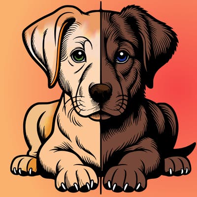 realistic dog split picture