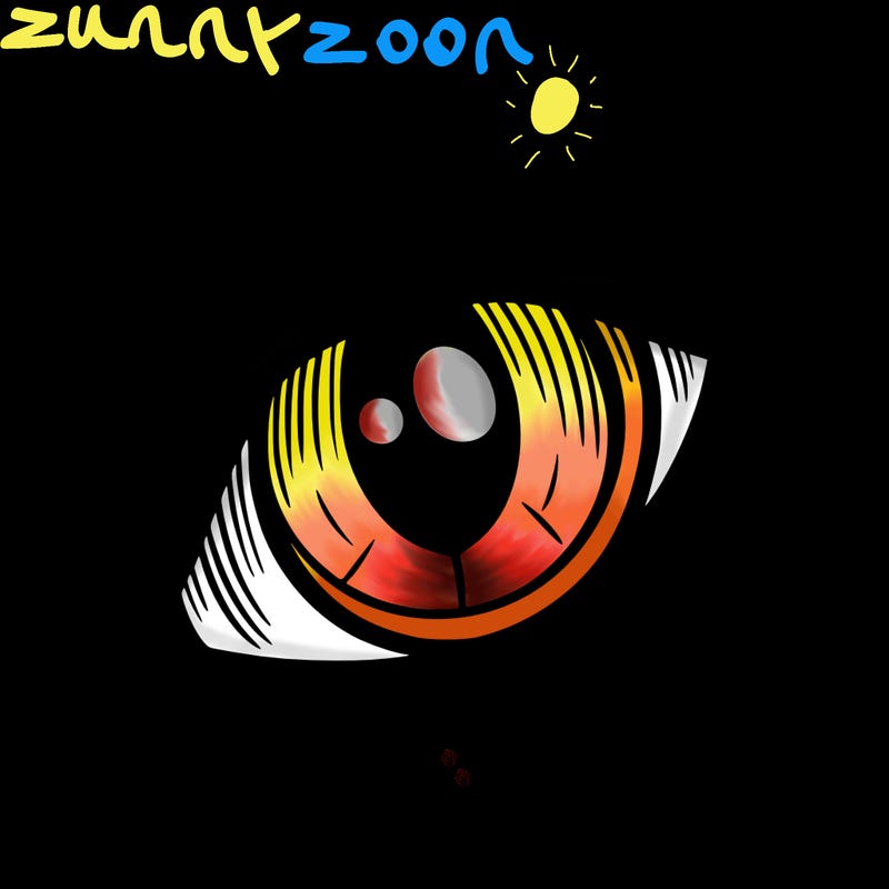 a cats eye