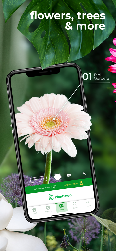 PlantSnap Pro App identifiziert eine pinke Gerbera-Blume mit Augmented-Reality-Schnittstelle