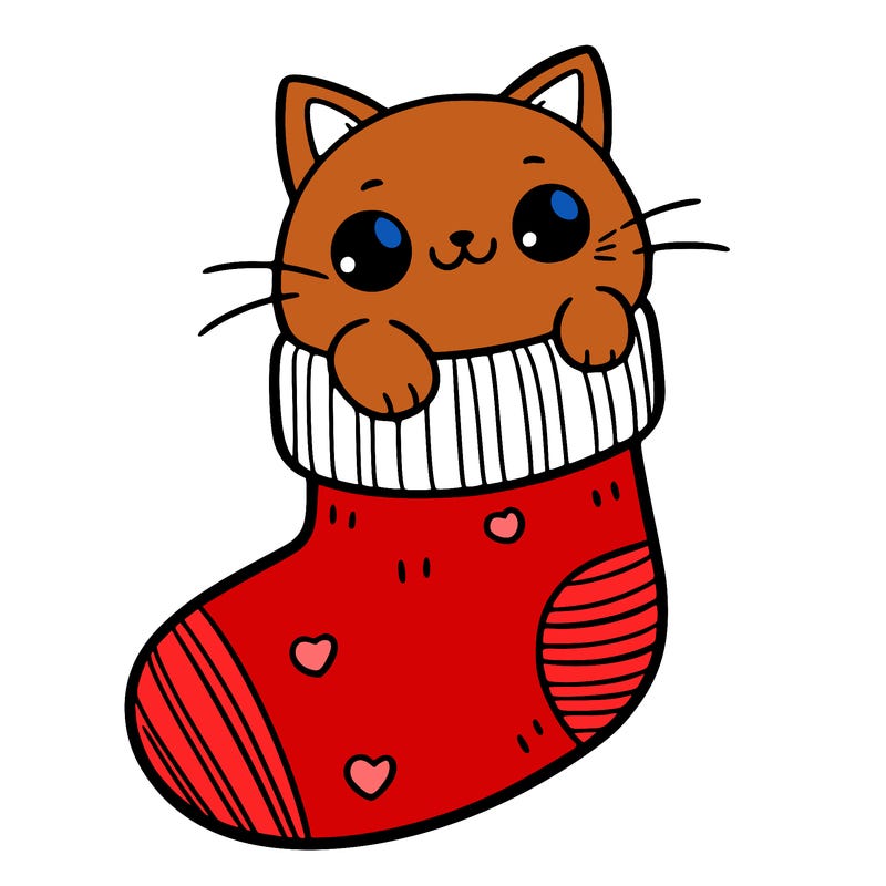 cute cat in a sock