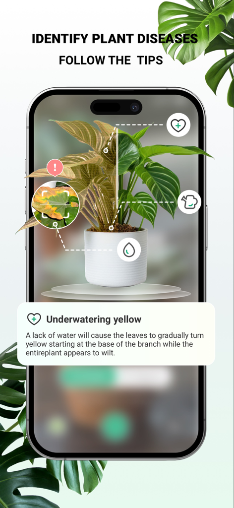 Écran de smartphone montrant l'application PlantDaily identifiant une maladie végétale comme un sous-arrosage avec des instructions de soins.