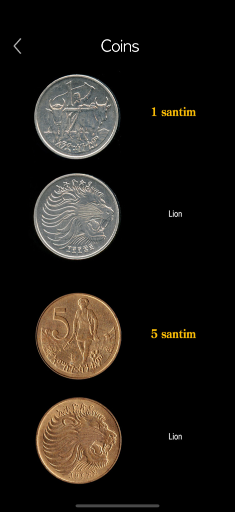 A display of traditional Ethiopian coins including 1 santim and 5 santim with lion engravings in the app
