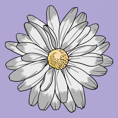 flowers_21