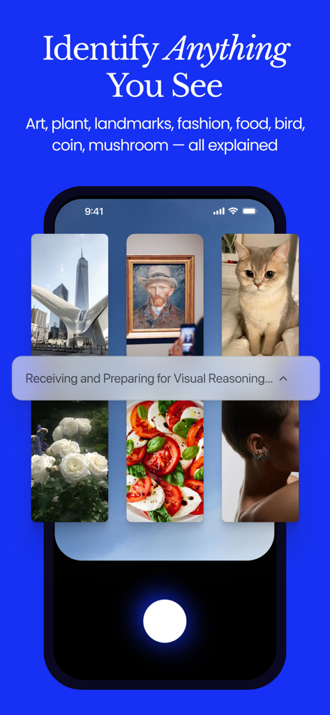 Chance AI - Visual Search - Chance AI app screenshot showing the Identify Anything You See feature with visual reasoning for art plants and food