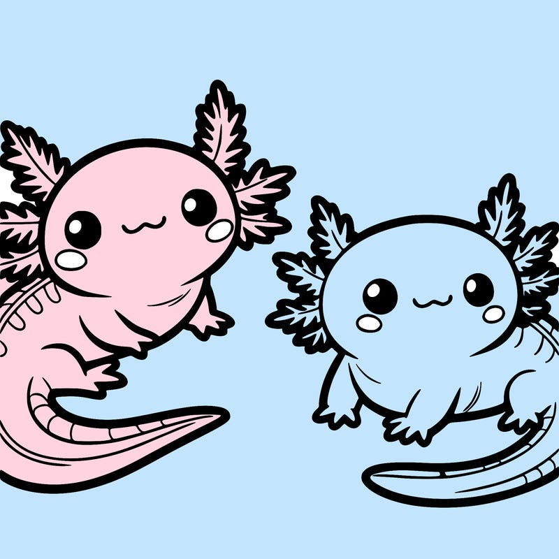 cute axolotls