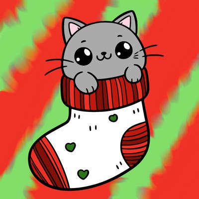 cute cat in a sock