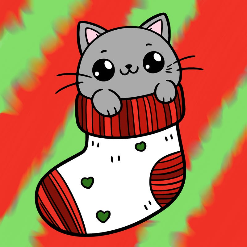 cute cat in a sock
