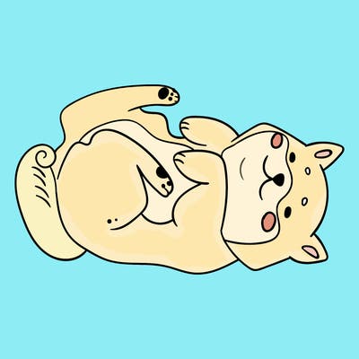 animals_30