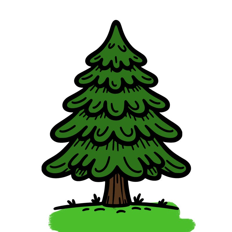 fir tree