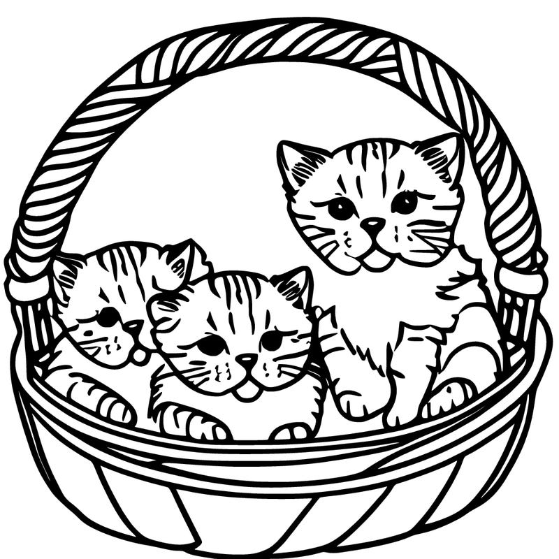 kittens in a basket