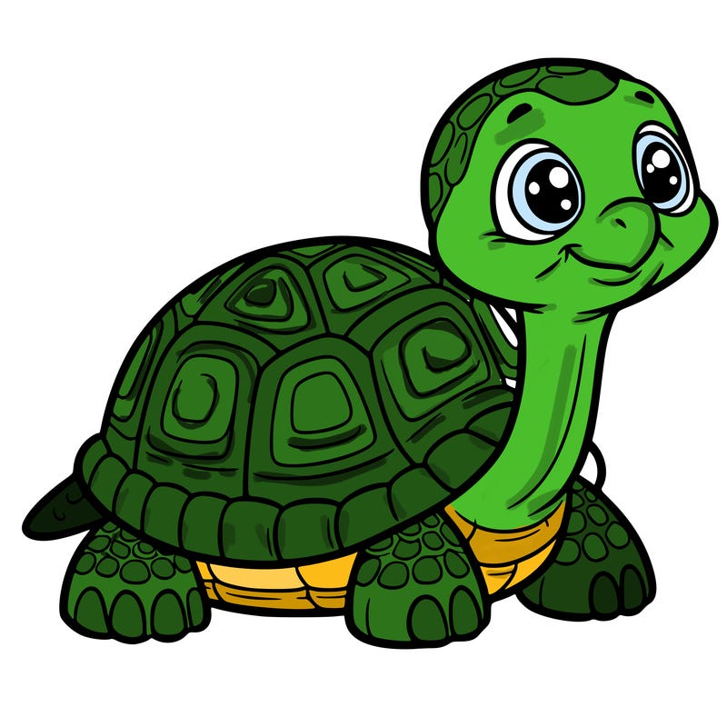 tortoise